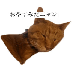 [LINEスタンプ] おじじの日常です