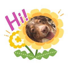 [LINEスタンプ] CATS＆DOGS 2
