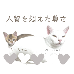 [LINEスタンプ] ちーちゃん❦みーちゃん