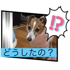 [LINEスタンプ] みんなでニコニコ