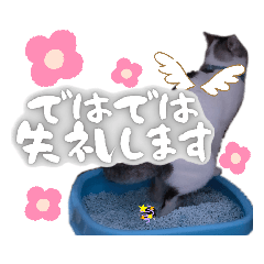 [LINEスタンプ] うちのねこ様【日常用語】