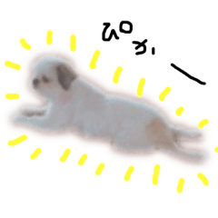 [LINEスタンプ] もーちゃん その1