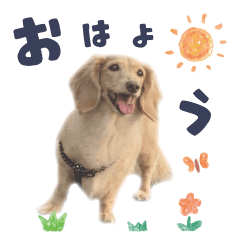 [LINEスタンプ] 【ミニチュアダックス】うちの子スタンプ2