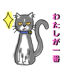 [LINEスタンプ] うちに出入りする野良猫たちの毎日