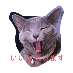 [LINEスタンプ] ジミとボンベトスタンプ