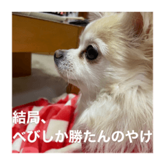 [LINEスタンプ] やっぱりべびだけ