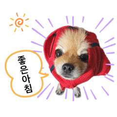 [LINEスタンプ] Mungchi Stamp