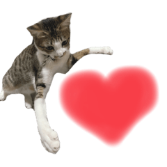 [LINEスタンプ] xxxsuzuStnpxxx
