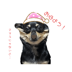 [LINEスタンプ] モモ＆くぅー2