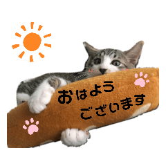 [LINEスタンプ] らぁみぃスタンプ