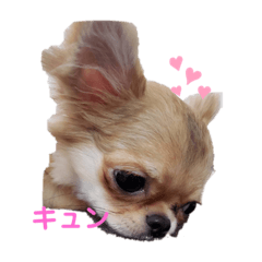 [LINEスタンプ] バブピースタンプ