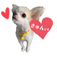 [LINEスタンプ] せなとくりあとみりと