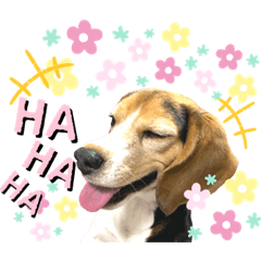 [LINEスタンプ] ♡はァたん♡とステッカー