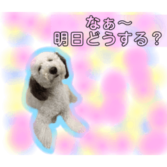 [LINEスタンプ] #さくらさんの癒しキャラ