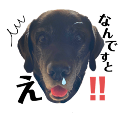[LINEスタンプ] ぶんた村