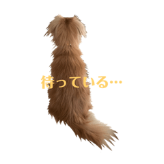 [LINEスタンプ] りくのわんわんスタンプ