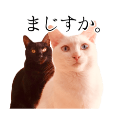 [LINEスタンプ] うにとすあま《ドライ編》