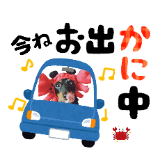 [LINEスタンプ] ミニチュアダックスのゆるっとラッキー③