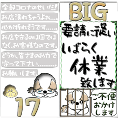 [LINEスタンプ] 【Big】シーズー犬17『コロナ禍の飲食店』