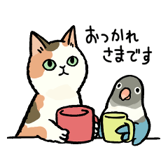 [LINEスタンプ] インコちゃんたちと！毎日猫ちゃんたち