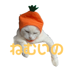 [LINEスタンプ] わが家のシオンくん