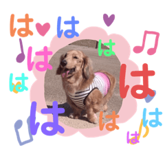 [LINEスタンプ] りく＆かい 2