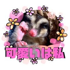 [LINEスタンプ] 【フクロモモンガ】梅雨氏