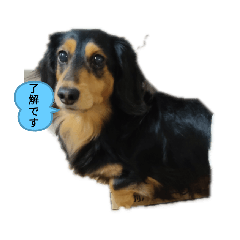 [LINEスタンプ] りつおのスタンプ☆