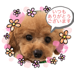 [LINEスタンプ] 日常簡単会話