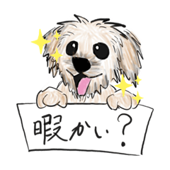 [LINEスタンプ] あずきとコロの日常スタンプ