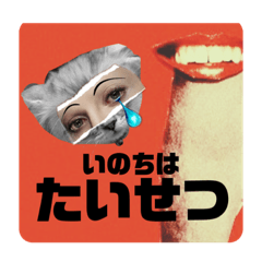 [LINEスタンプ] せんちゃん☆