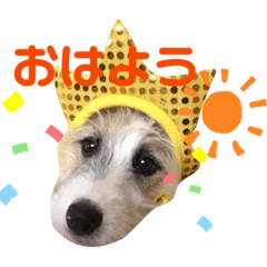 [LINEスタンプ] ロンさんスタンプ1