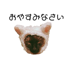 [LINEスタンプ] 俺サスケ