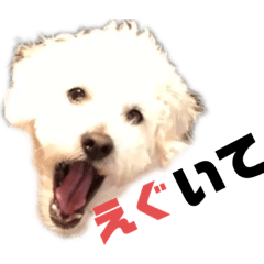 [LINEスタンプ] しろい犬好きのためのスタンプ