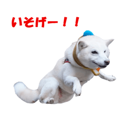[LINEスタンプ] うつくしば日常編