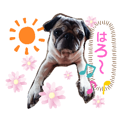 [LINEスタンプ] あぐくんの日常2
