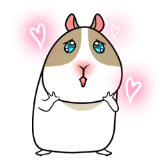 [LINEスタンプ] もるもるモルモット