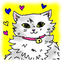 [LINEスタンプ] ふわねこ しゃーちゃん