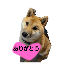 [LINEスタンプ] さびしがりや