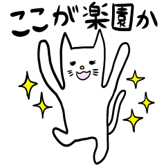 [LINEスタンプ] 白猫ゆめちゃんの愉快な日常♪