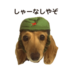 [LINEスタンプ] くうわんスタンプ2