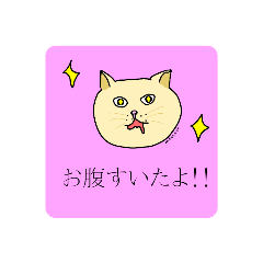 [LINEスタンプ] きのこのねこ