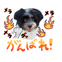 [LINEスタンプ] usuisan niconico