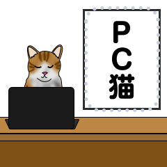 [LINEスタンプ] パソコンを使うハチワレ猫の画像（メイン）