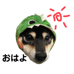 [LINEスタンプ] くろしばさくら