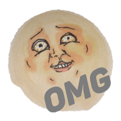 [LINEスタンプ] 表情筋豊かな顔面