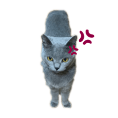 [LINEスタンプ] キララstyle