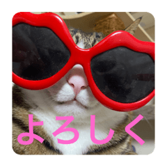 [LINEスタンプ] ドS猫の球太5
