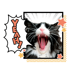 [LINEスタンプ] 魔女の子5