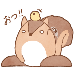 [LINEスタンプ] コリス先輩。